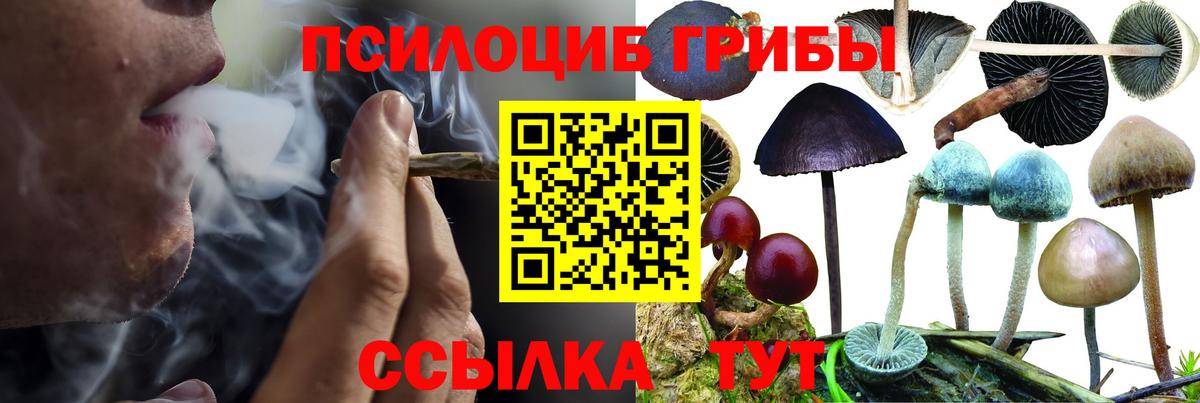 Псилоцибиновые грибы GOLDEN TEACHER Россошь